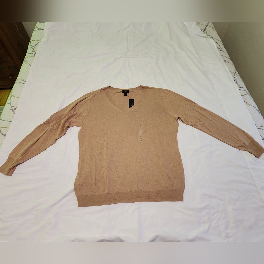 Worthington Women's V-Neck Sweater in Tan